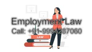 Employment Law | Attorneys in Chennai | Rajendra Law Office ⚖️
